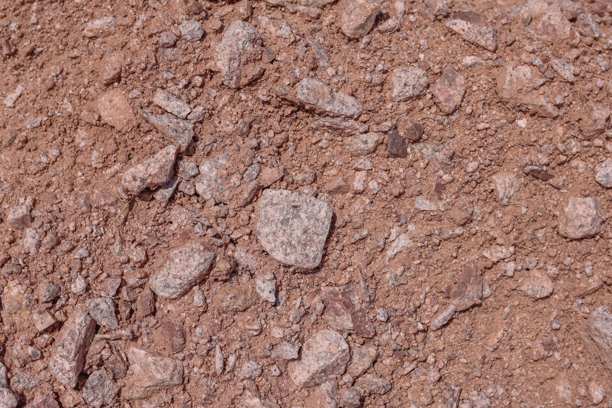 Belmont Gold — 1/4" Minus