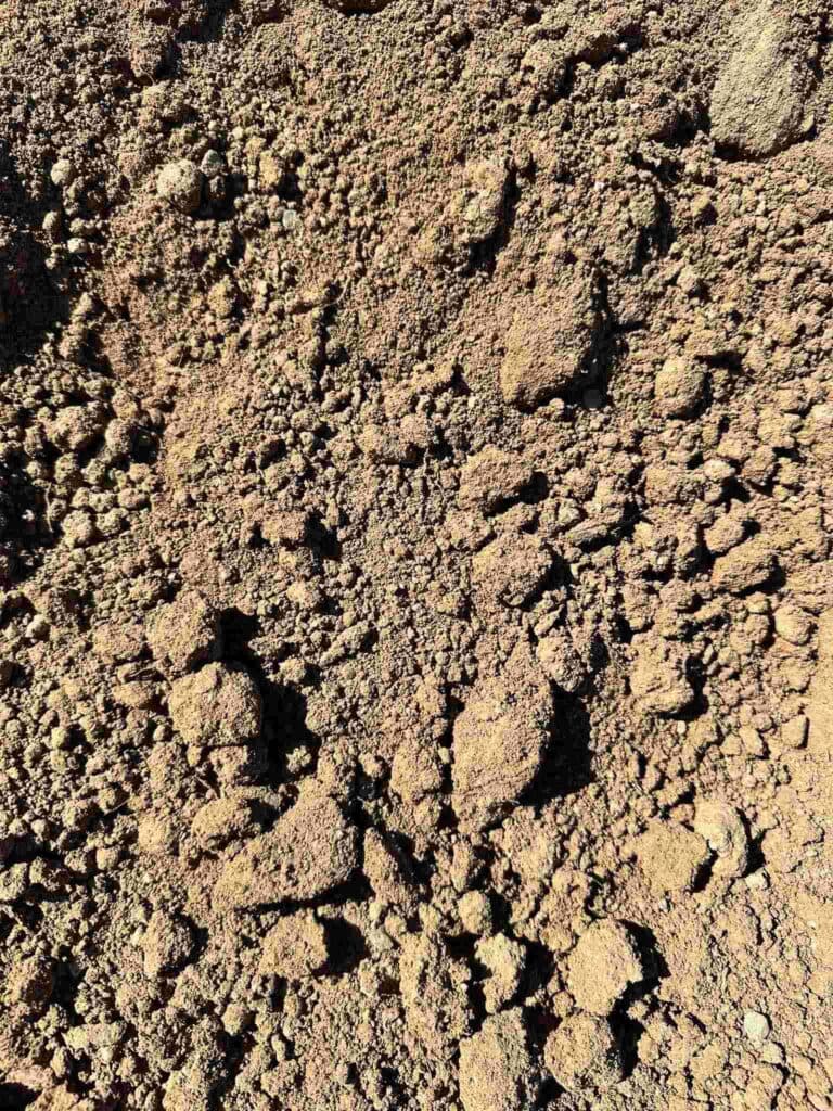 Fill Dirt — Standard